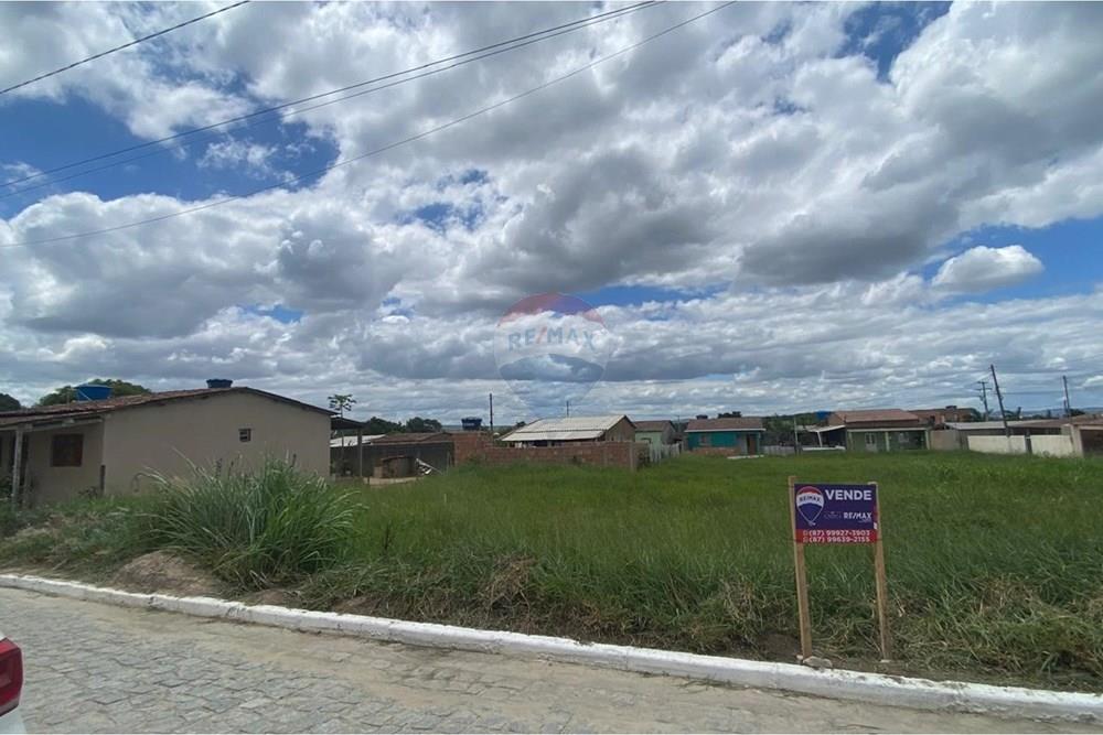 Terreno - Venda - Brejão , Pernambuco - Onça 7.jpeg - 850741009-2