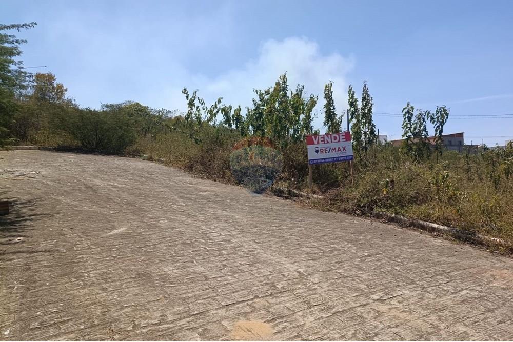 Terreno - Venda - Garanhuns , Pernambuco - WhatsApp Image 2025-11-13 at 20.46.09.jpeg - 850741008-1