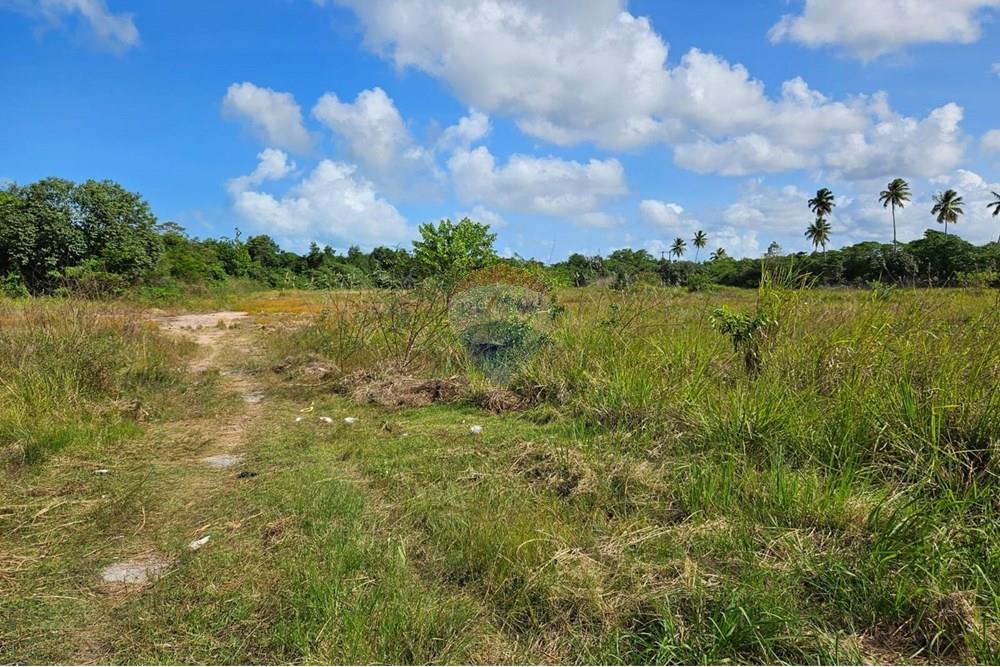 Terreno - Venda - Cabo de Santo Agostinho , Pernambuco - WhatsApp Image 2025-09-29 at 11.24.55.jpeg - 850281011-134