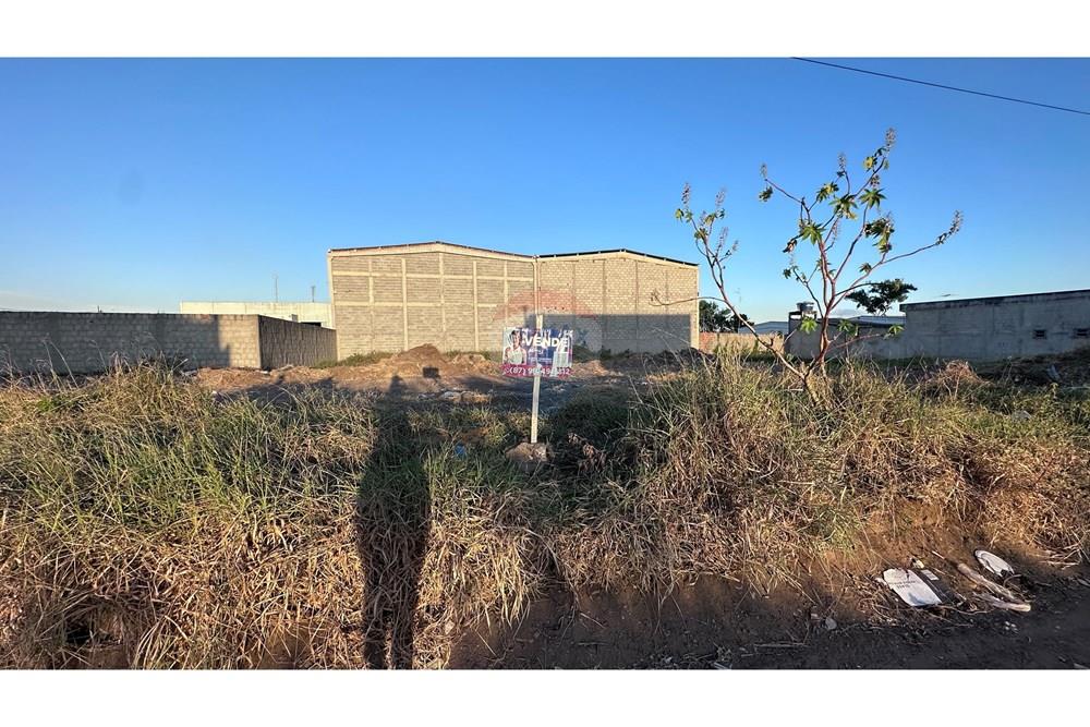 Terreno - Venda - Garanhuns , Pernambuco - IMG_2869.JPG - 850741006-7