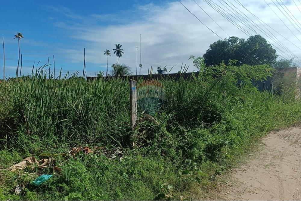 Terreno - Venda - Maceió , Alagoas - TERRENO NICAULA 10.jpg - 850141002-118