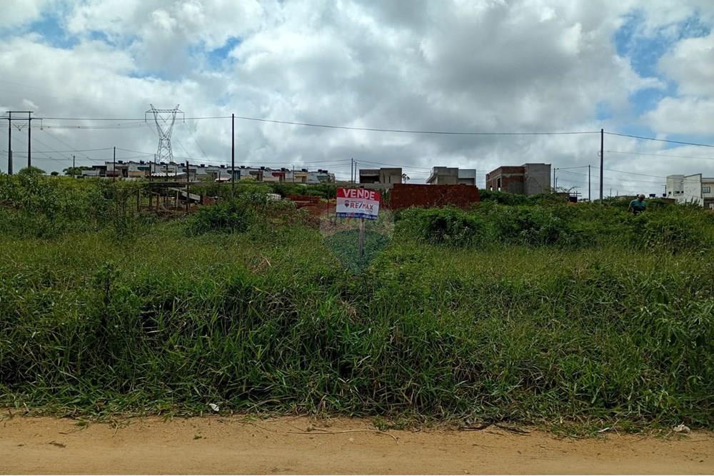 Terreno - Venda - Garanhuns , Pernambuco - LOTE DE SEU ROCHA.jpg - 850741005-25