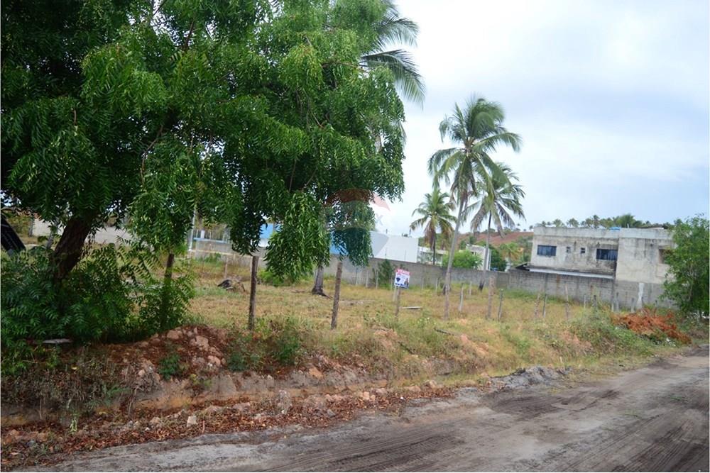 Residential - Land - Maragogi , Alagoas - BR - eaf64568-e69b-431e-acad-a27496f05fb2.jpeg - 850291009-32