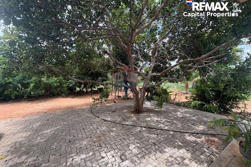 Casa de Campo - Venda - Palmeira dos Índios , Alagoas - IMG_4555.jpg - 850491058-11