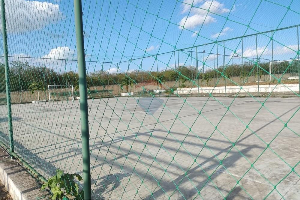 Terreno - Venda - Sairé , Pernambuco - a9a21cee-767b-4fe4-b929-d451fa5bfcc9.jpg - 850501080-139