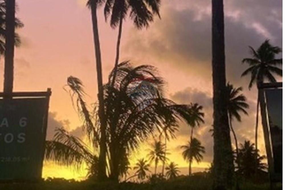 Casa de Condomínio - Venda - Tamandaré , Pernambuco - WhatsApp Image 2025-12-18 at 13.21.29.jpeg - 850071019-229