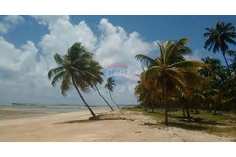 Terreno - Venda - São Miguel dos Milagres , Alagoas - download (3).jpeg - 850711016-62