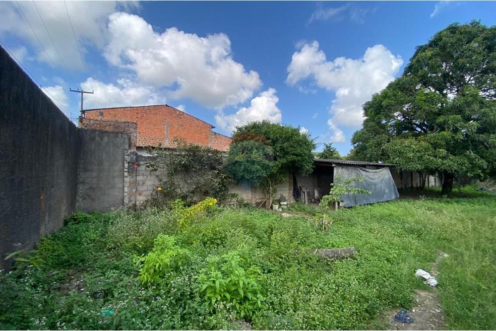 Terreno - Venda - Maceió , Alagoas - WhatsApp Image 2025-09-19 at 4.40.41 PM (8).jpeg - 850271154-83