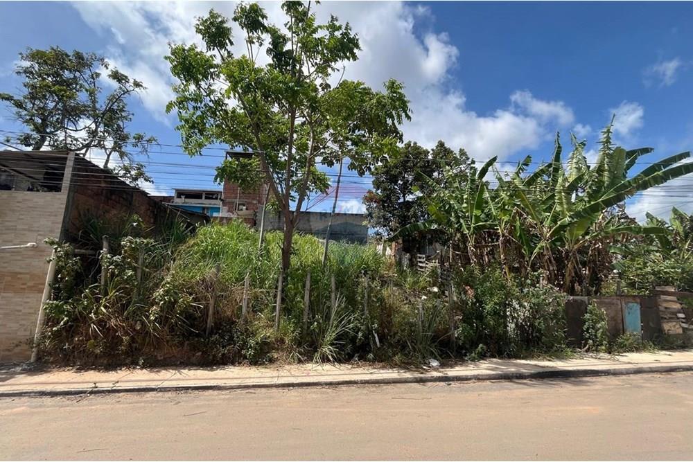 Terreno - Venda - Cabo de Santo Agostinho , Pernambuco - WhatsApp Image 2025-12-27 at 12.10.26 (2).jpeg - 850281001-61