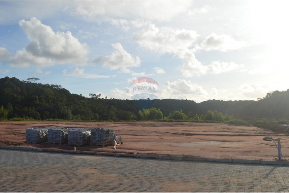 kereskedelmi - Föld - Maragogi , Alagoas - BR - DSC_0026.JPG - 850291008-85