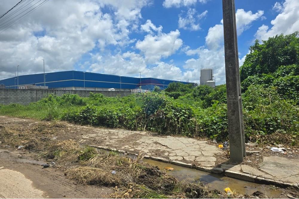 Terreno - Venda - Cabo de Santo Agostinho , Pernambuco - WhatsApp Image 2025-04-04 at 16.34.26.jpeg - 850281036-80