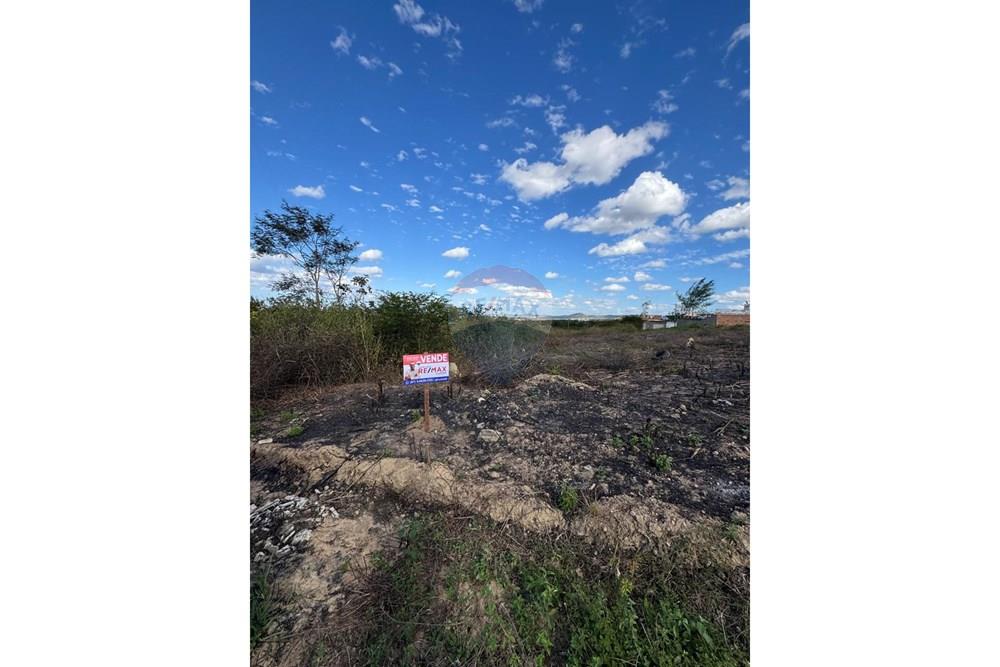 Terreno - Venda - Garanhuns , Pernambuco - WhatsApp Image 2025-12-03 at 21.36.57 (1).jpeg - 850131003-523
