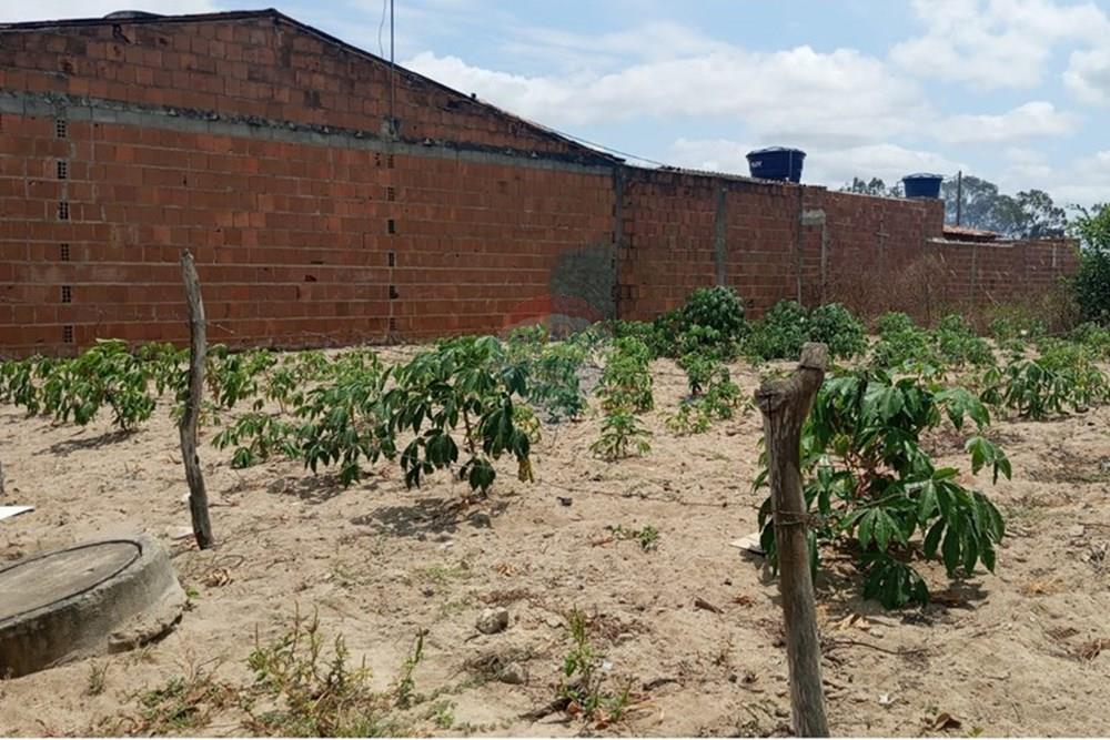 Terreno - Venda - Lajedo , Pernambuco - WhatsApp Image 2025-11-23 at 12.54.15 PM (2).jpeg - 850131012-48