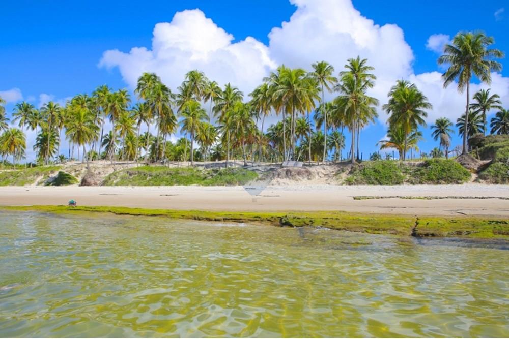 Terreno - Venda - Marechal Deodoro , Alagoas - WhatsApp Image 2024-11-25 at 10.07.51.jpeg - 850271006-289