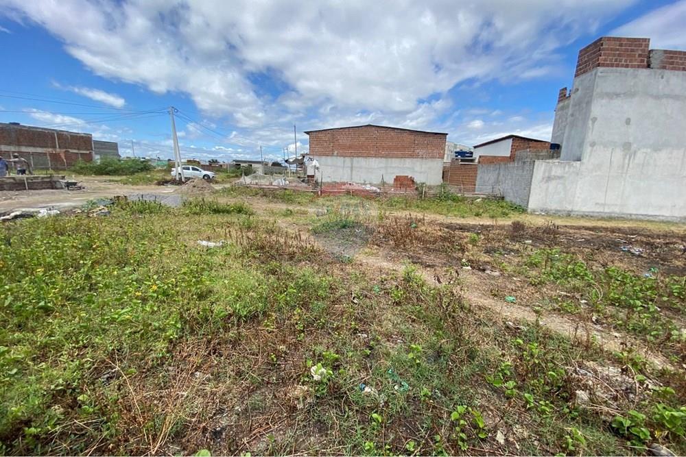 Terreno - Venda - Ipojuca , Pernambuco - WhatsApp Image 2026-02-17 at 12.37.50 (3).jpeg - 850221030-41