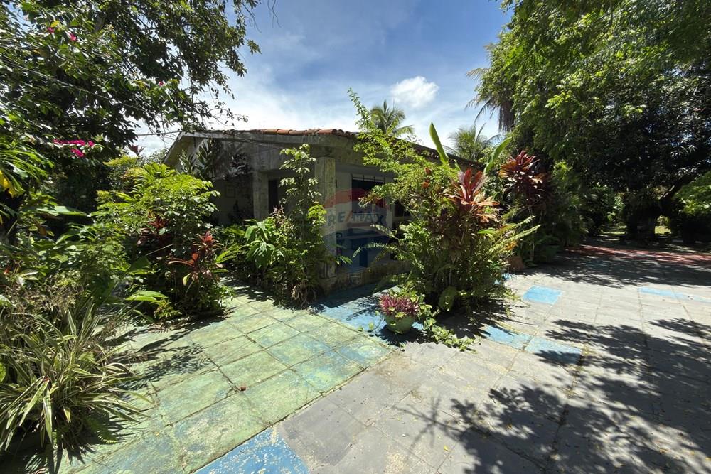 Chácara / Sítio / Fazenda - Venda - Camaragibe , Pernambuco - WhatsApp Image 2026-03-04 at 14.56.13.jpeg - 850701030-9