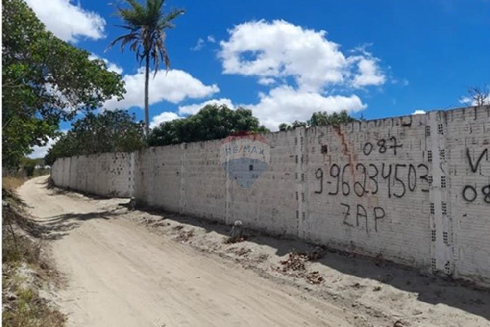 Chácara / Sítio / Fazenda - Venda - Lajedo , Pernambuco - WhatsApp Image 2026-01-30 at 12.32.15.jpeg - 850131020-1