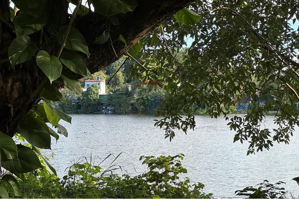 Terreno - Venda - Recife , Pernambuco - IMG_2112.jpeg - 850251016-617