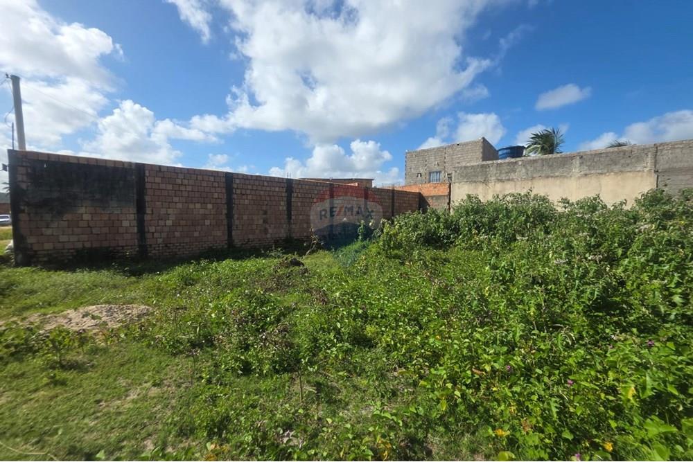 Terreno - Venda - Marechal Deodoro , Alagoas - WhatsApp Image 2025-09-08 at 08.55.04 (1).jpeg - 850271006-289