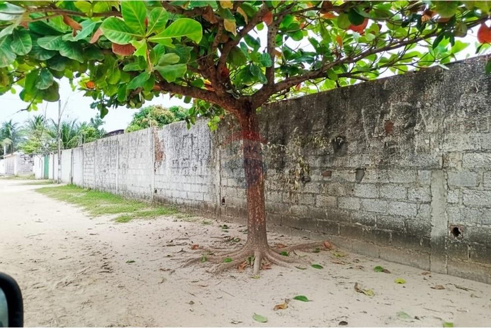 Terreno - Venda - Paulista , Pernambuco - WhatsApp Image 2025-09-29 at 13.56.47 (1).jpeg - 850721010-1