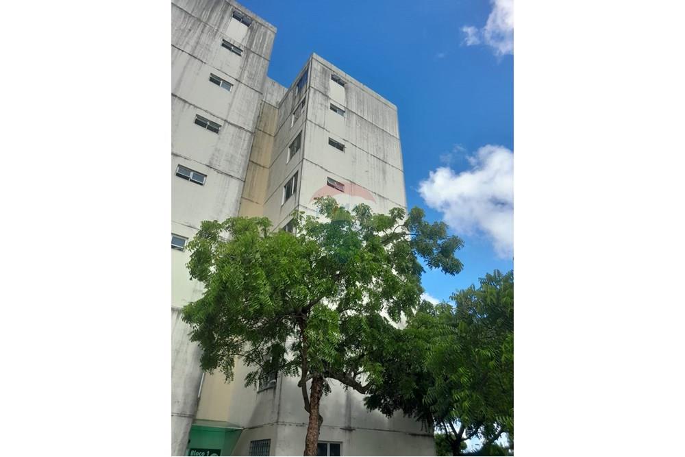 Apartamento - Alugar - Ipojuca , Pernambuco - WhatsApp Image 2025-04-13 at 15.23.43.jpeg - 850281039-34