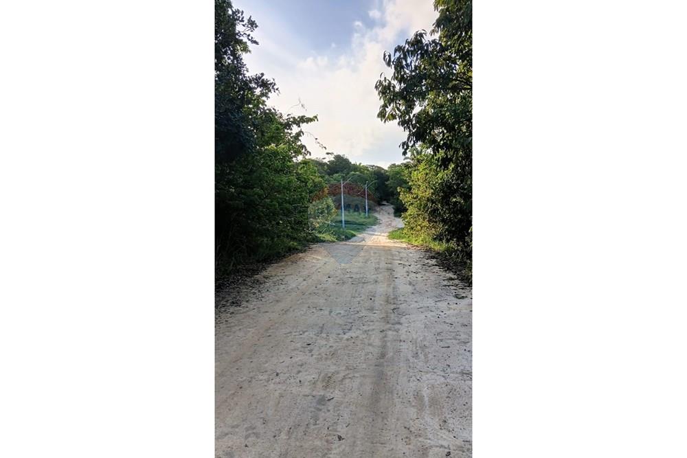 Terreno - Venda - Cabo de Santo Agostinho , Pernambuco - WhatsApp Image 2026-03-16 at 18.07.24.jpeg - 850281042-23