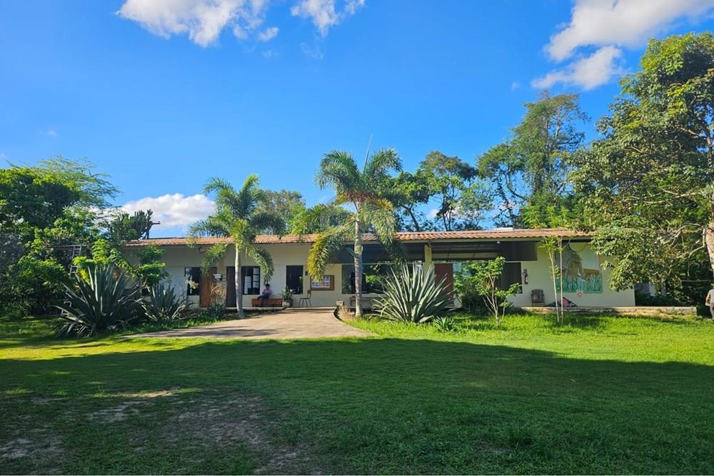 Terreno - Venda - Paudalho , Pernambuco - WhatsApp Image 2026-04-02 at 15.37.46 (1).jpeg - 850471016-87