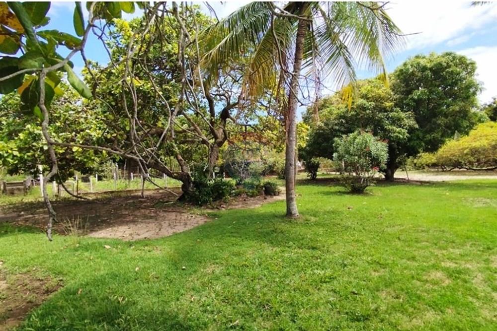Chácara / Sítio / Fazenda - Alugar - Igarassu , Pernambuco - WhatsApp Image 2025-01-23 at 15.12.41 (1).jpeg - 850071019-200