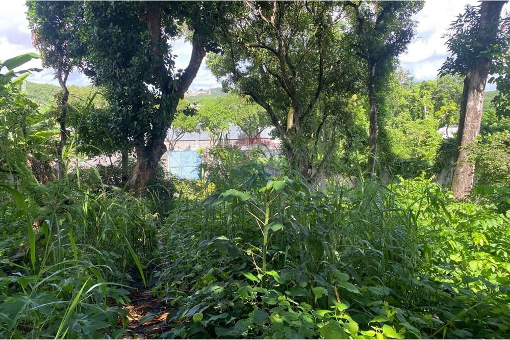 Casa Comercial - Venda - Recife , Pernambuco - IMG-20250617-WA0540.jpg - 850701012-89