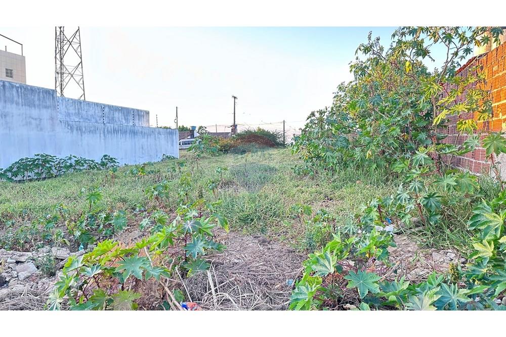 Terreno - Venda - Garanhuns , Pernambuco - IMG_2886.JPG - 850741006-8