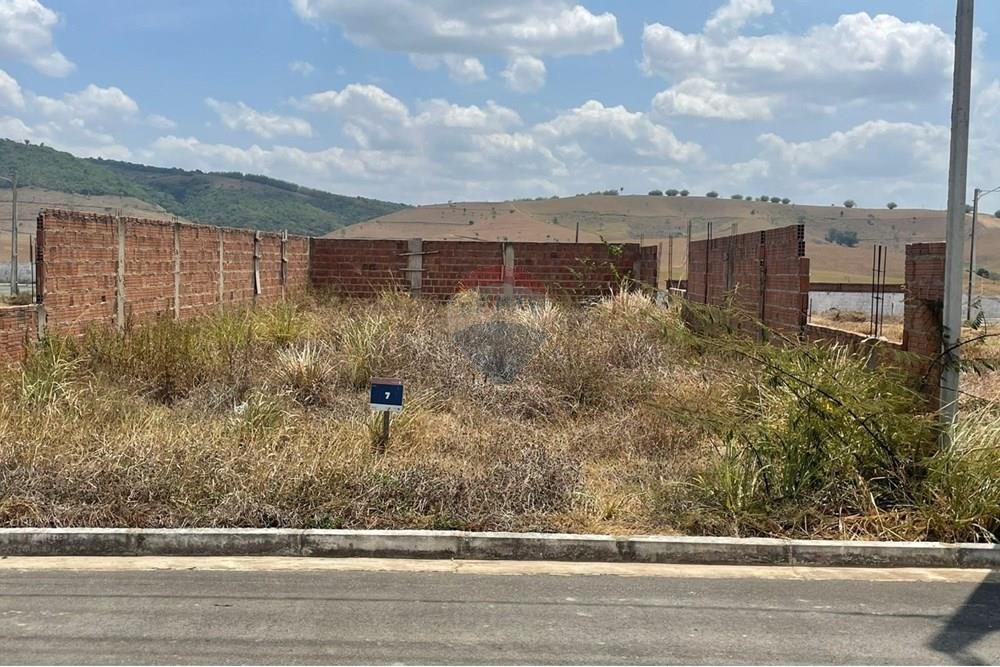 Terreno - Venda - União dos Palmares , Alagoas - WhatsApp Image 2025-02-12 at 11.06.52.jpeg - 850271054-232