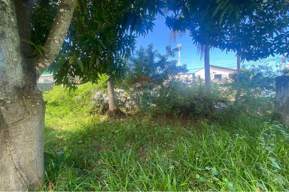 Terreno - Venda - Ipojuca , Pernambuco - WhatsApp Image 2025-06-02 at 07.45.03.jpeg - 850221002-485