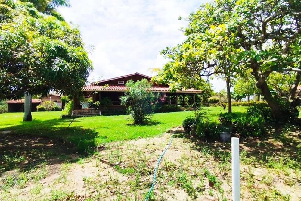 Chácara / Sítio / Fazenda - Alugar - Igarassu , Pernambuco - WhatsApp Image 2025-01-23 at 15.12.02.jpeg - 850071019-200