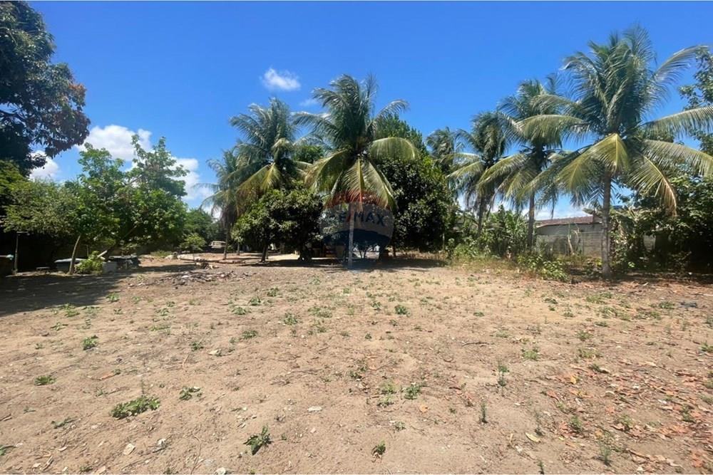 Terreno - Venda - Maceió , Alagoas - WhatsApp Image 2026-01-16 at 14.15.05 (3).jpeg - 850271272-1