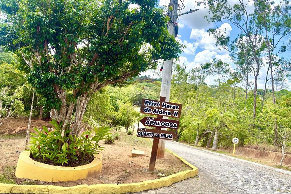 Casa de Condomínio - Venda - Camaragibe , Pernambuco - IMG_0065.jpeg - 850091088-37