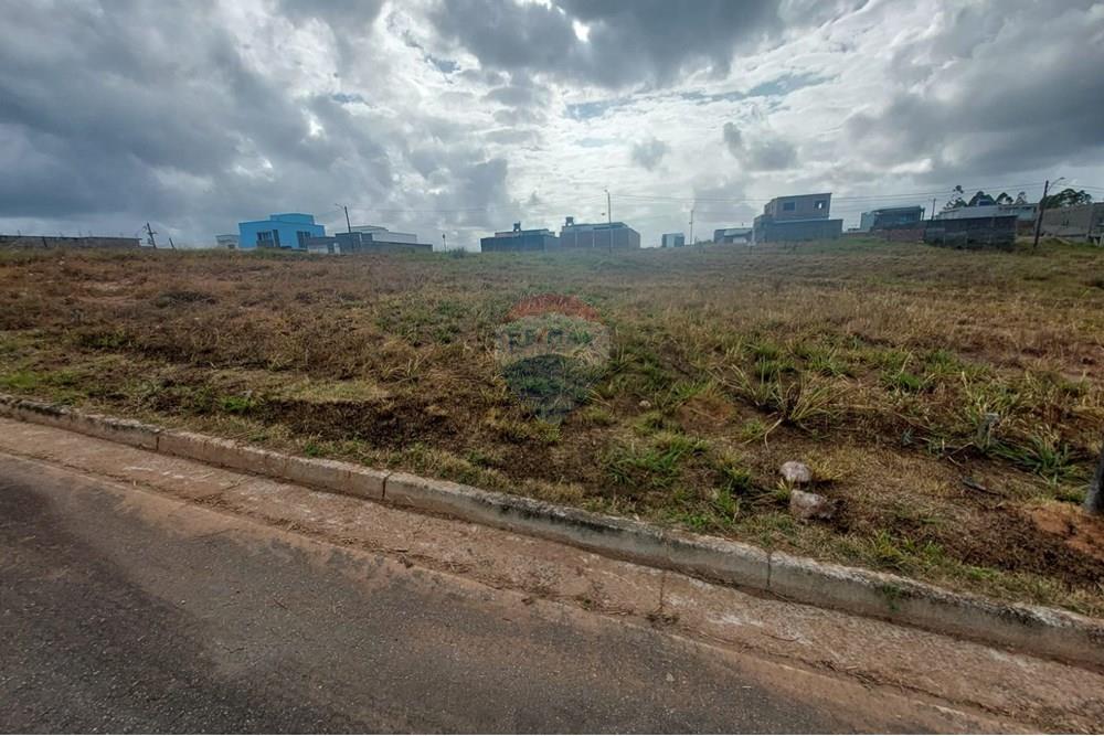 Terreno - Venda - Cabo de Santo Agostinho , Pernambuco - WhatsApp Image 2024-12-23 at 13.07.21 (1).jpeg - 850281036-43