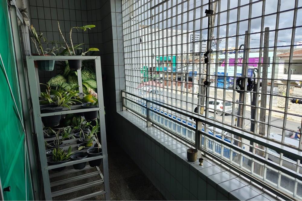 Casa Comercial - Venda - Olinda , Pernambuco - WhatsApp Image 2026-02-24 at 15.39.28 (2).jpeg - 850721009-41