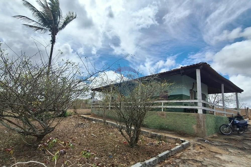 Chácara / Sítio / Fazenda - Venda - Caruaru , Pernambuco - WhatsApp Image 2026-03-02 at 12.25.25 (1).jpeg - 850161060-46