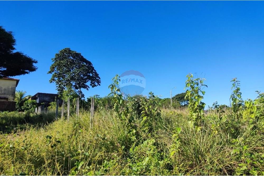 Terreno - Venda - Cabo de Santo Agostinho , Pernambuco - WhatsApp Image 2025-06-21 at 12.39.07 (3).jpeg - 850281001-54