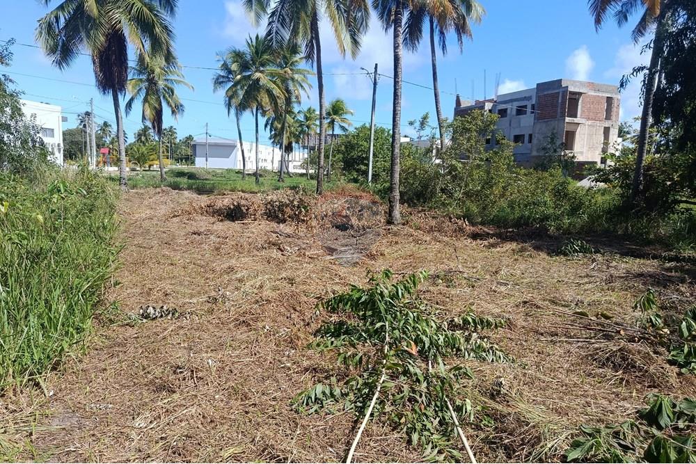 Terreno - Venda - Maragogi , Alagoas - IMG_20250531_123504.jpg - 850291008-73