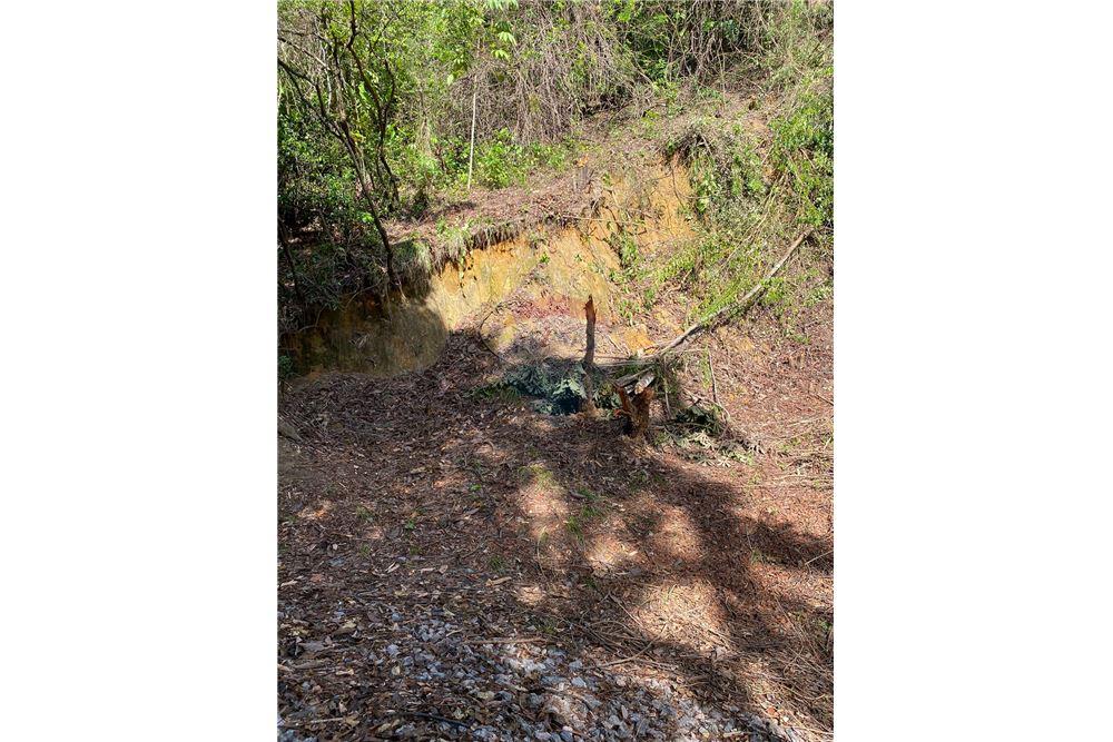 Terreno - Venda - Recife , Pernambuco - 8 - 850251016-617