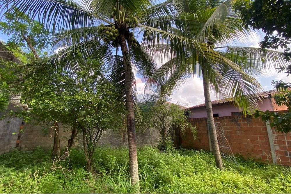 Terreno - Venda - Maceió , Alagoas - WhatsApp Image 2025-09-23 at 19.04.56.jpeg - 850271154-83