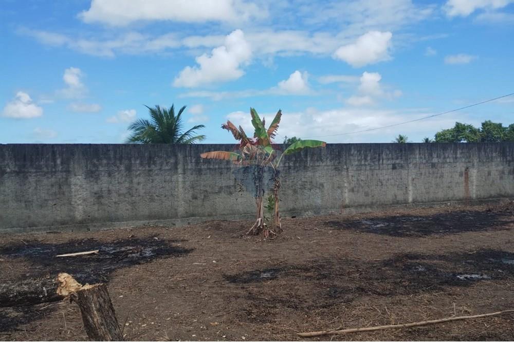 Terreno - Venda - Abreu e Lima , Pernambuco - WhatsApp Image 2025-10-22 at 15.24.18.jpeg - 850721009-19