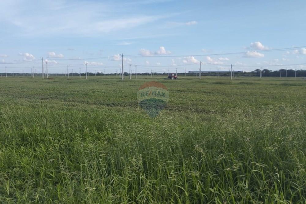 Terreno - Venda - Petrolina , Pernambuco - WhatsApp Image 2026-03-18 at 16.22.10.jpeg - 850611026-7