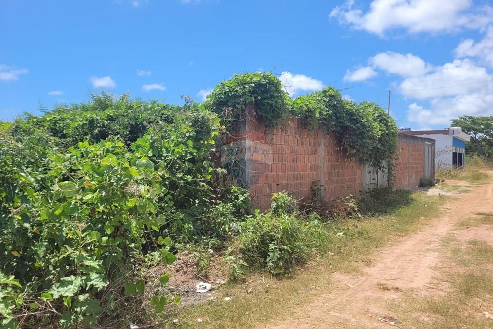 Terreno - Venda - Cabo de Santo Agostinho , Pernambuco - WhatsApp Image 2025-02-18 at 14.44.13 (1).jpeg - 850281001-32