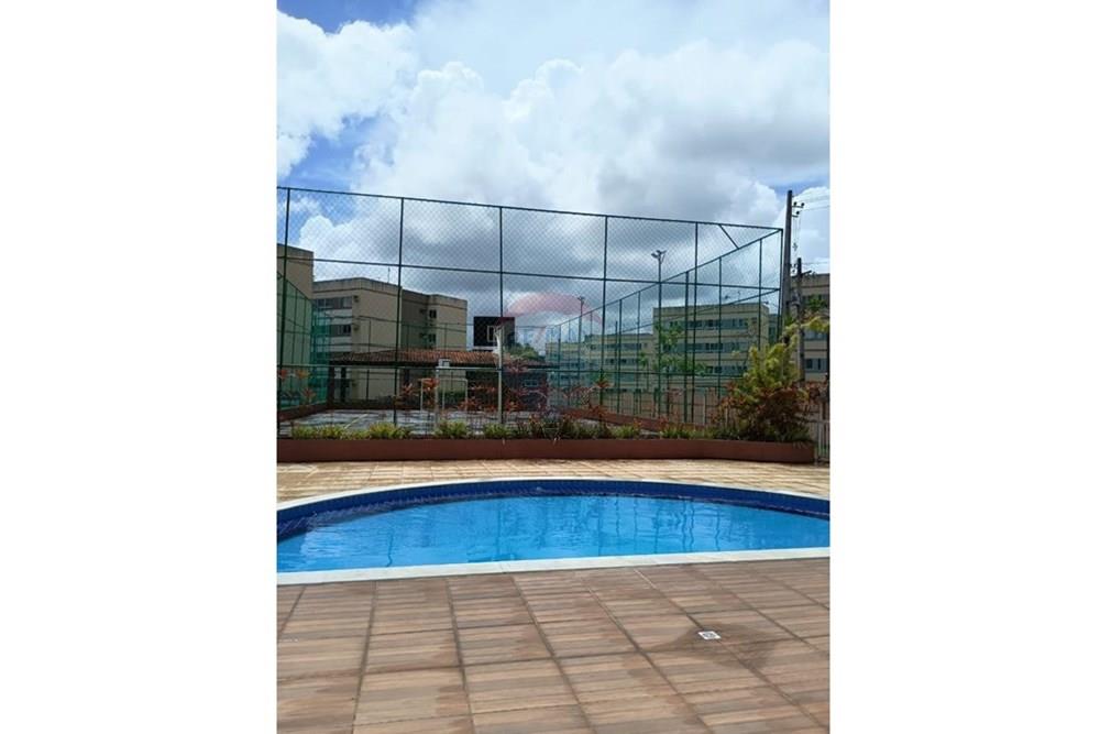 Apartamento - Venda - São Lourenço da Mata , Pernambuco - WhatsApp Image 2025-02-14 at 09.29.17.jpeg - 850721002-133