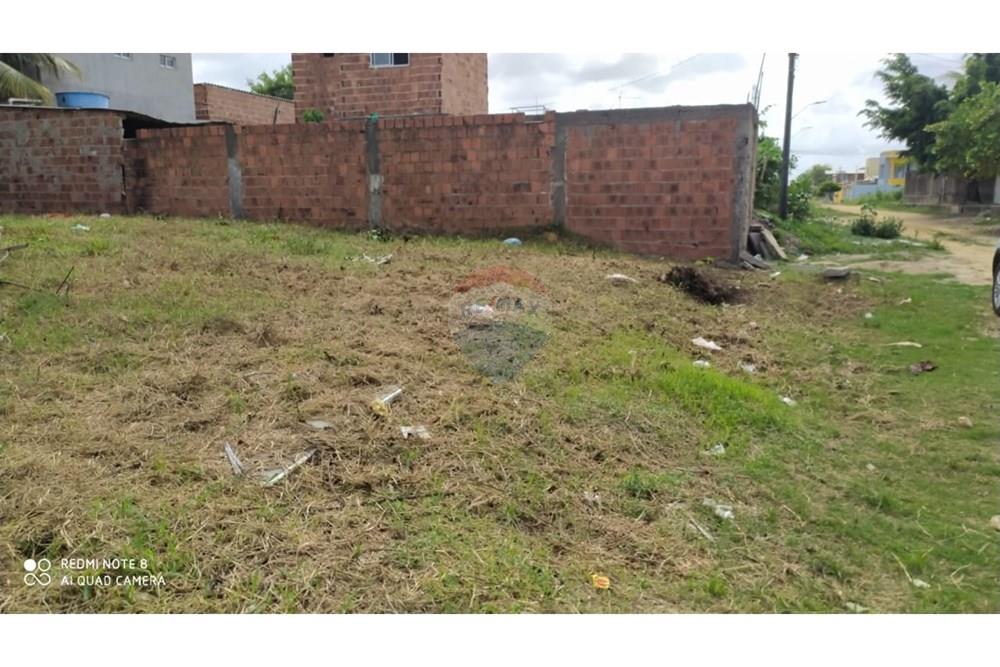 Terreno - Venda - Cabo de Santo Agostinho , Pernambuco - WhatsApp Image 2024-12-18 at 12.03.28.jpeg - 850281036-44