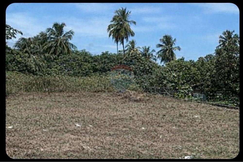 Terreno - Venda - Aracaju , Sergipe - WhatsApp Image 2026-01-29 at 14.01.14.jpeg - 850581262-44