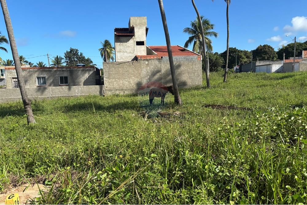 Terreno - Venda - Maragogi , Alagoas - IMG_5911.jpeg - 850291009-64