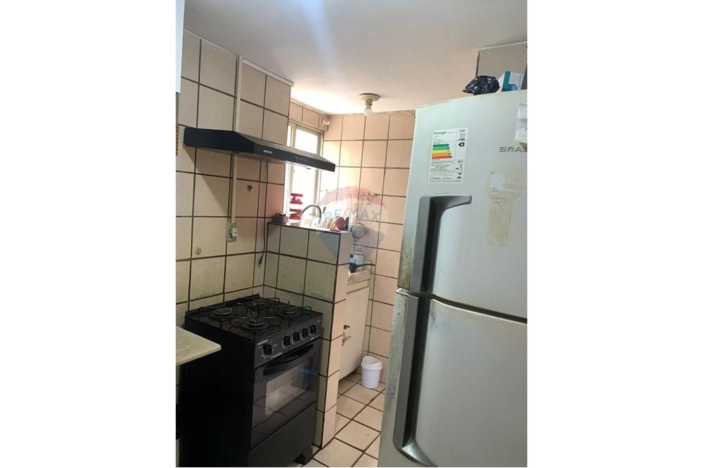 Apartamento - Venda - Olinda , Pernambuco - IMG-20251006-WA0019.jpg - 850091081-187